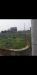ঢাকার কেরানীগঞ্জের জমি বিক্রি হবে